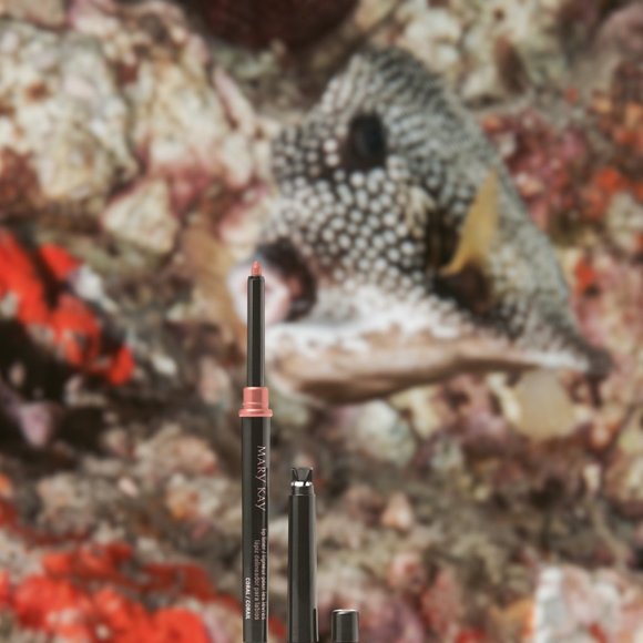 Coral Lip Liner - Mary Kay - Recently Discontinued - Picture 2 of 6